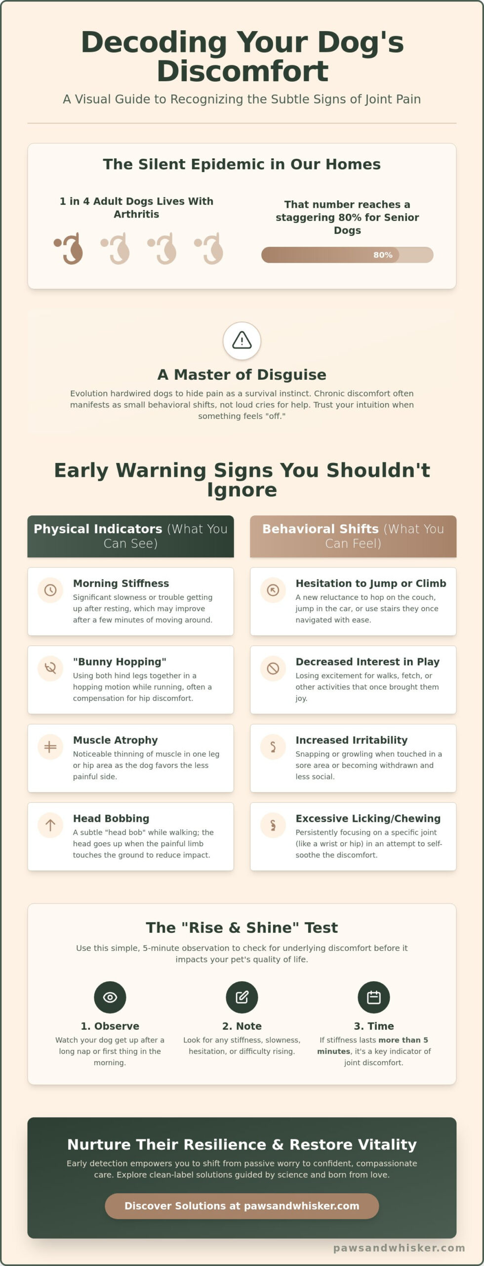 7 Subtle Signs of Dog Joint Pain Pet Owners Often Miss