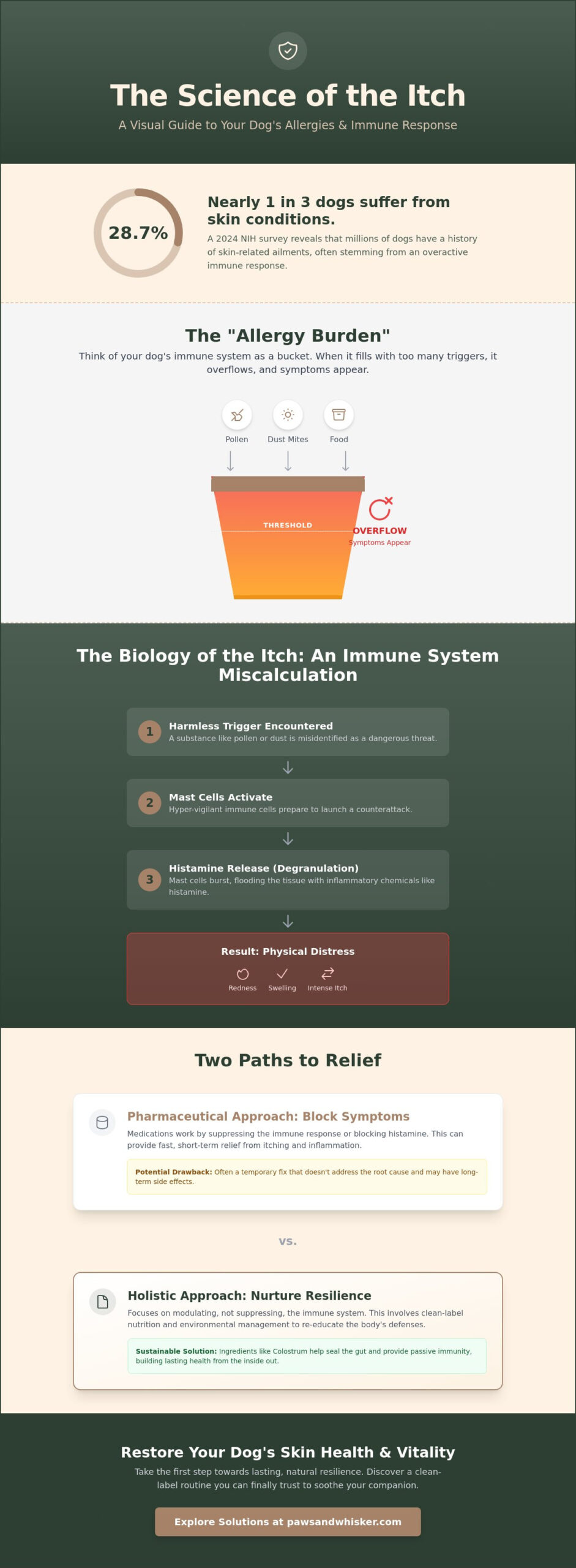 Allergy Relief for Dogs: A Scientist’s Guide to Nurturing Immune Resilience (2026)