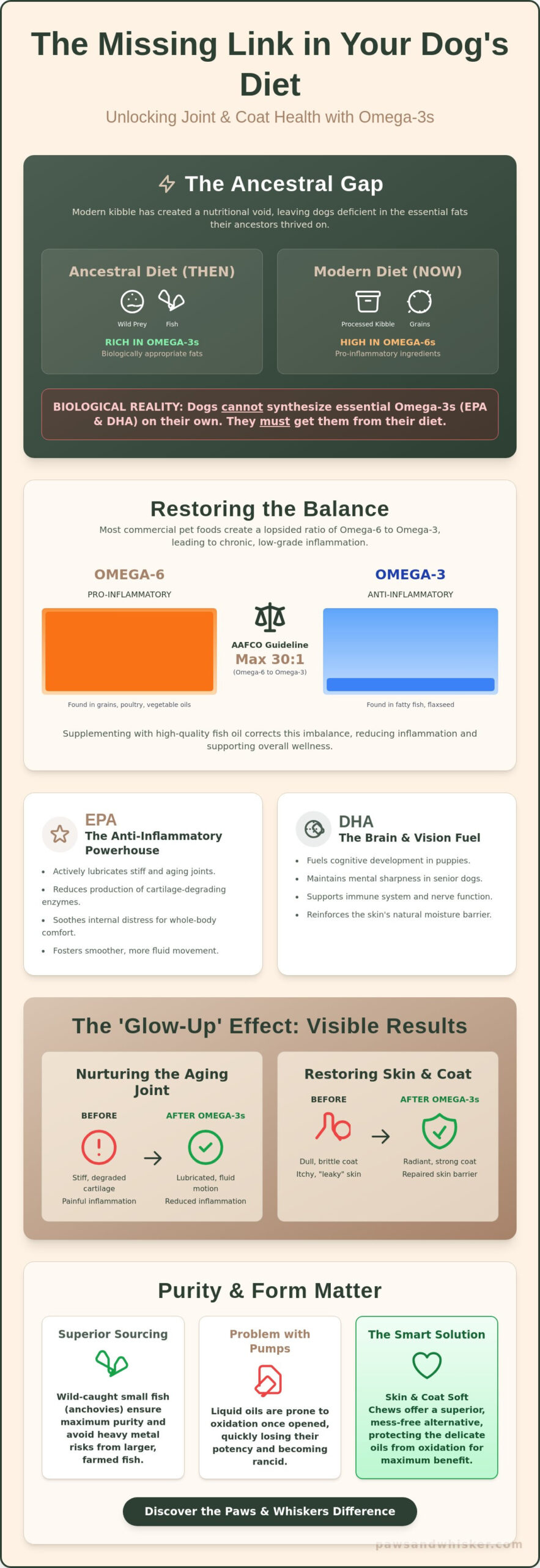 Fish Oil for Dogs: The Essential Science-Backed Guide to Omega-3 Wellness (2026)
