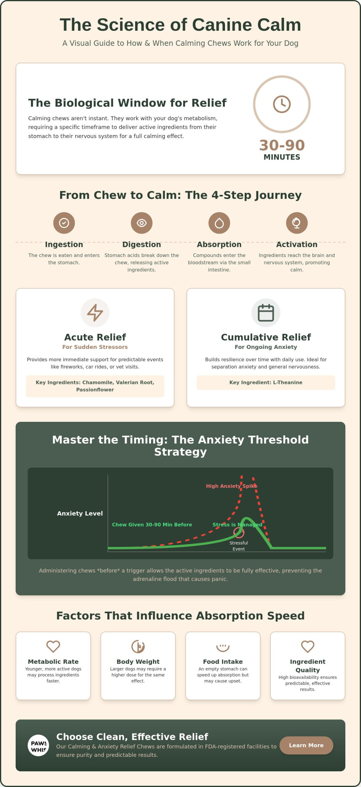 How Long Do Calming Chews Take to Work for Dogs? A Timing Guide for Pet Parents
