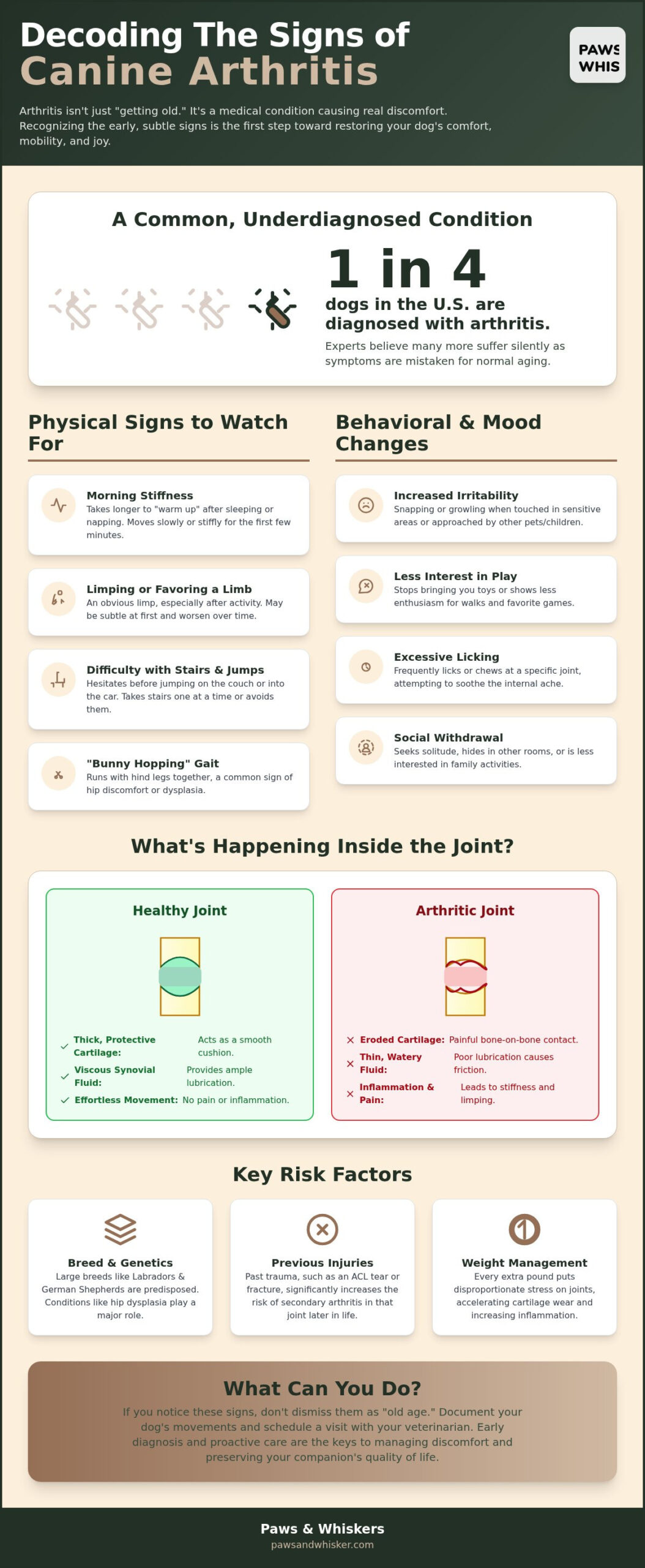 Signs of Arthritis in Dogs: The Nurturing Expert’s Guide to Identifying Canine Joint Pain