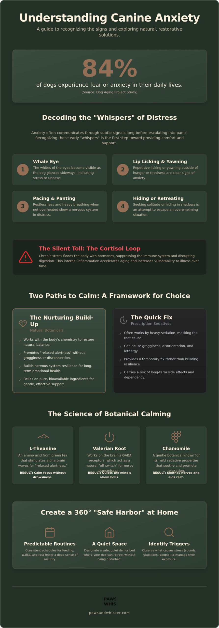 Scientist's Guide: Natural Dog Anxiety Remedies (2026)